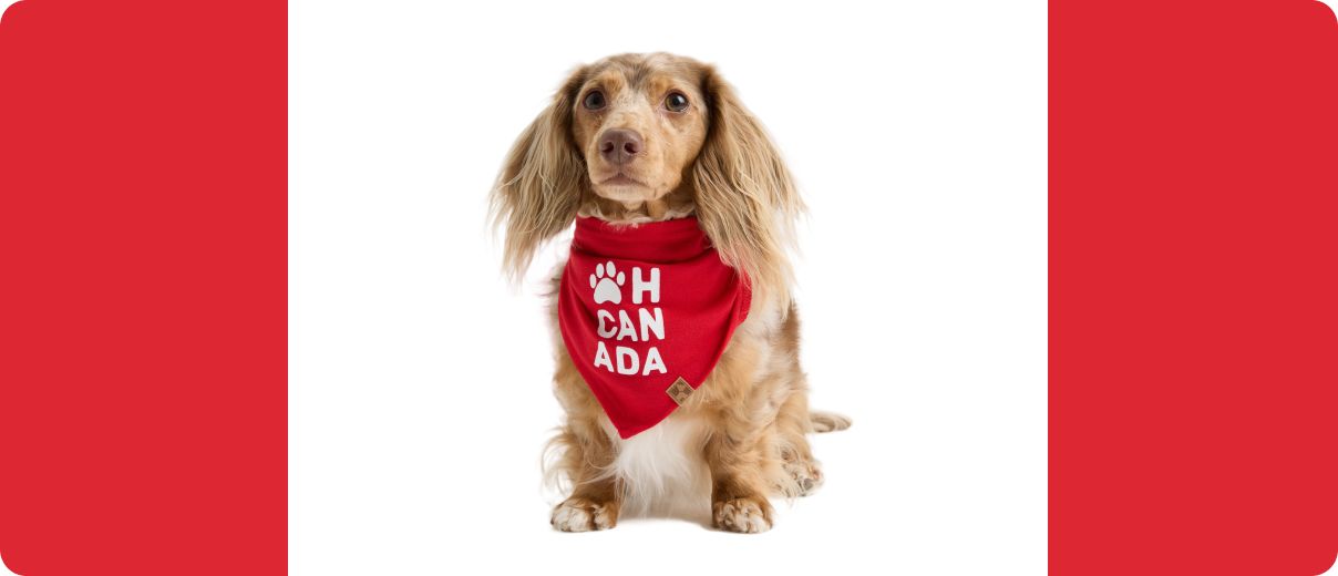 A dog in a handkerchief that says "Oh Canada" with a paw print.