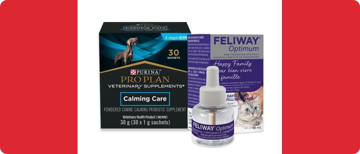 Two boxes of calming products