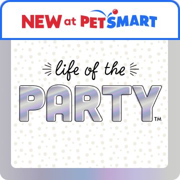 Life of the Party silver logo