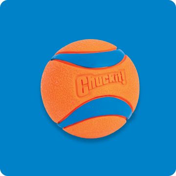 An orange and blue Chuckit! ball.