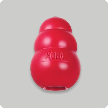 A classic red Kong toy.