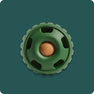 A green, treat-dispensing toy.