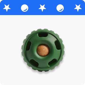 A green chew toy with a treat in the middle