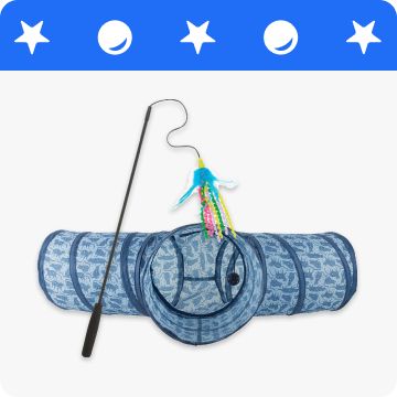 A blue cat tunnel and a feather cat toy
