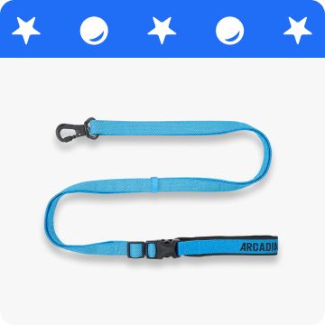 A blue dog leash