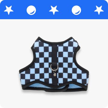A blue and black checkered cat harness