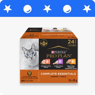 A box of cat food