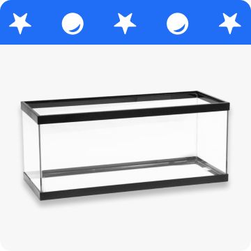 An empty aquarium