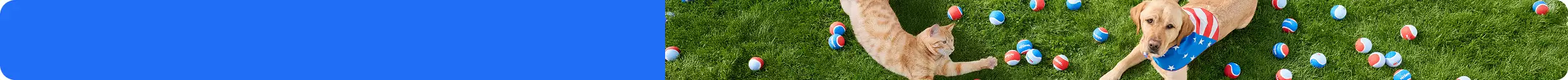 A dog wearing a American flag bandana and a cat laying on grass surrounded by red and blue PetSmart balls