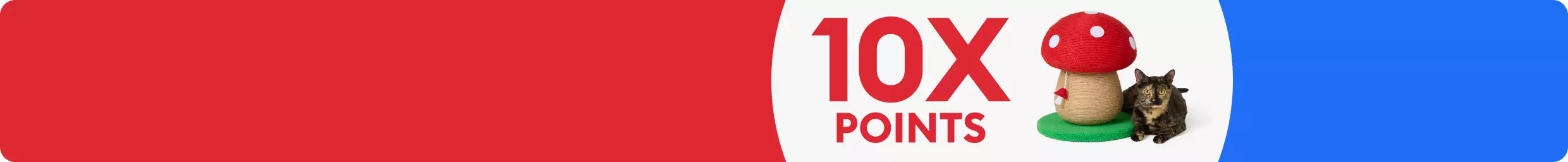 A 10X points badge and a cat sitting next to a scratcher shaped like a mushroom