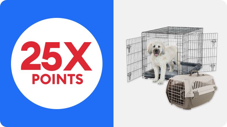25X callout with dog in wire crate and a plastic carrier