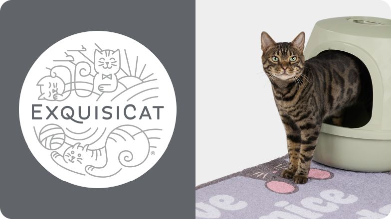 ExquisiCat logo & a cat stepping out of a litter box