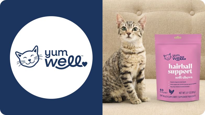 YumWell logo & a cat sitting next to a package of hairball support chews