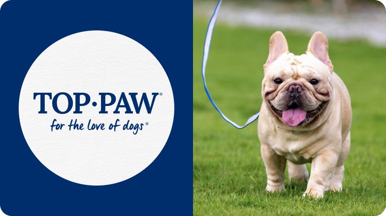 Top Paw logo & a French bulldog in the grass