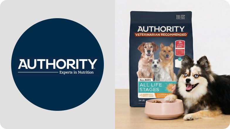Authority logo & a dog lying next to an Authority bag & food bowl