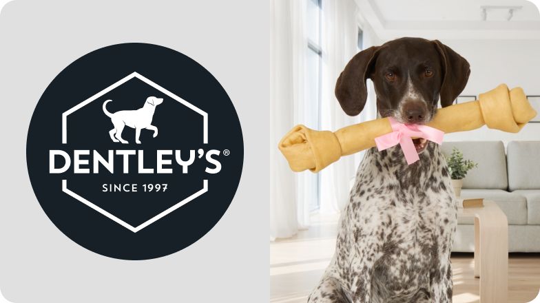 Dentley's logo & a dog holding a large rawhide bone in their mouth