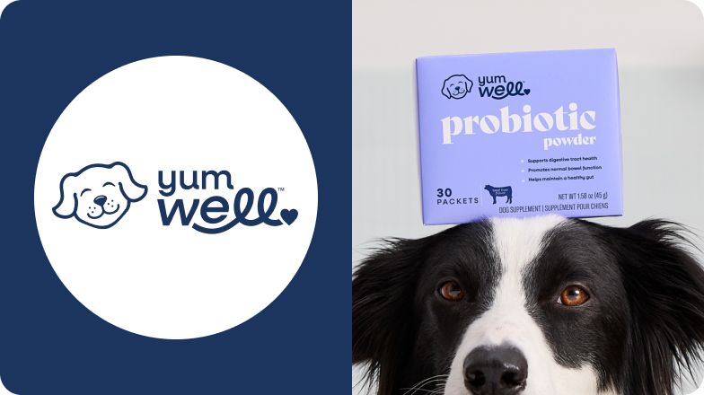 YumWell logo and a black & white dog with probiotics on their head