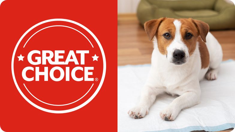 Great Choice logo & a small white & brown dog lying on a disposable pad