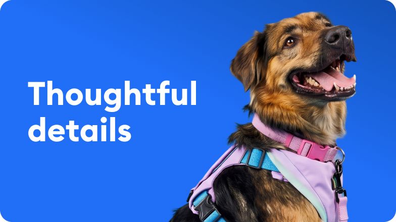 A dog wearing a colorful collar & harness and text that reads, thoughtful details