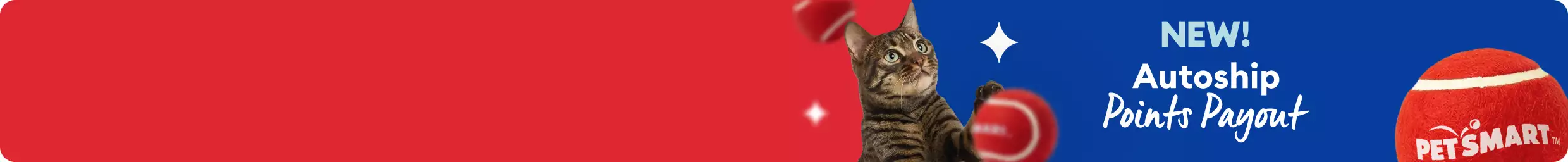NEW! Autoship Points Payout on blue background with diamonds shown with cat batting red balls