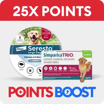 25X points message, Points Boost callout & two flea & tick products for dogs