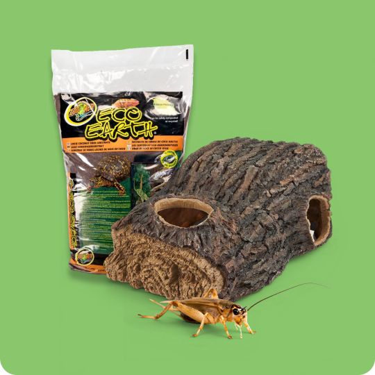 Zoo Med Eco Earth substrate package, log décor, and a cricket