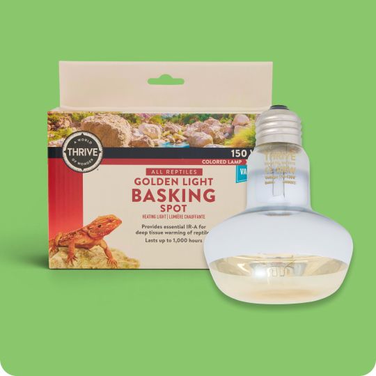 A Thrive all-reptile golden basking light in front of the packaging