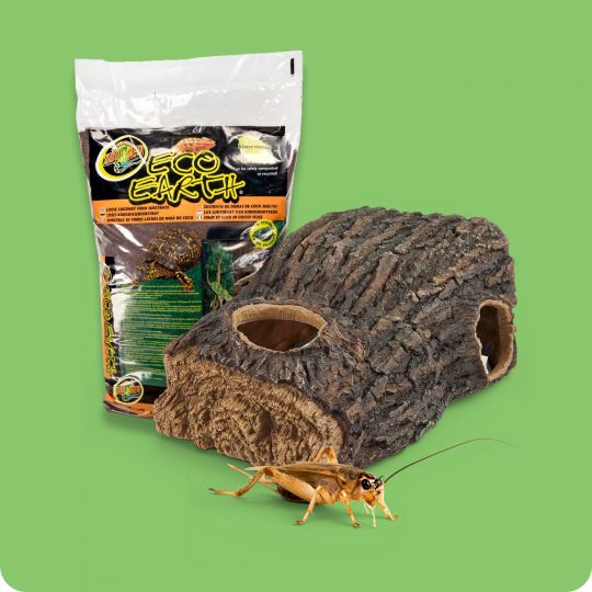 Zoo Med Eco Earth substrate package, log décor, and a cricket