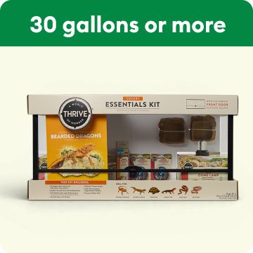 A Thrive Desert Essentials Kit for bearded dragons