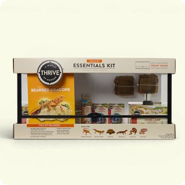 A Thrive Desert Essentials Kit for bearded dragons