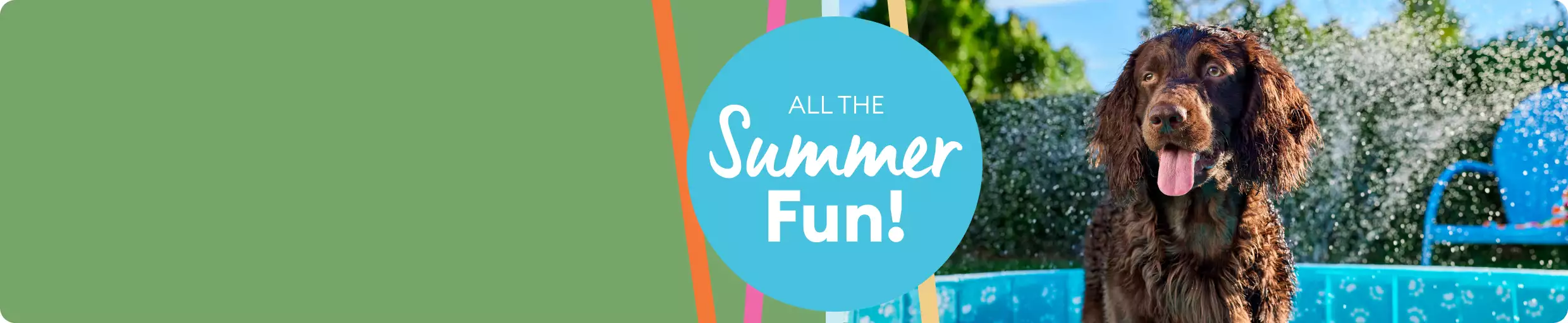 ALL THE Summer Fun on blue background with large dog outdoors in wading pool