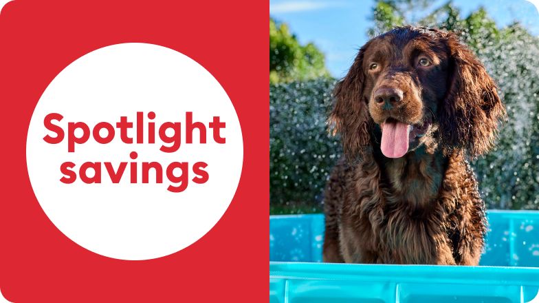 Spotlight Savings Dog in Pool