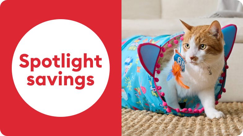 Spotlight Savings Cat 