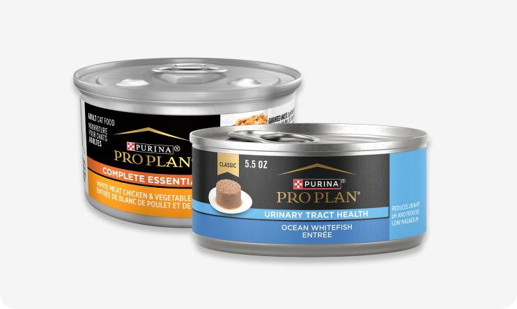 Buy 7, get 8th free Purina® Pro Plan® cat & dog food