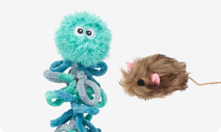 Save 20% on ALL Whisker City® products