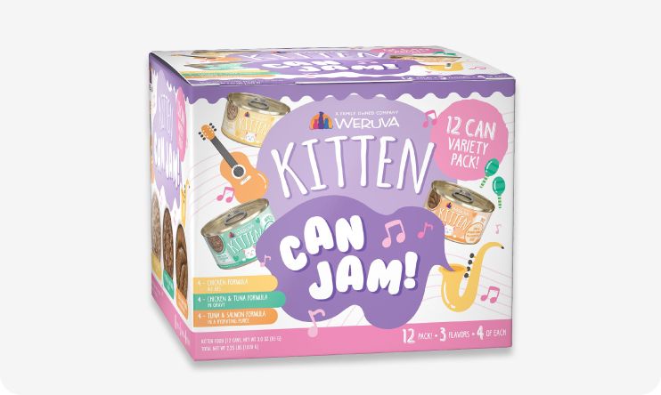 Weruva kitten canned food variety pack