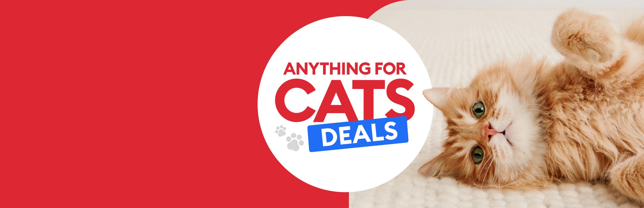 Anything for Cats Deals shown with ginger long-haired cat