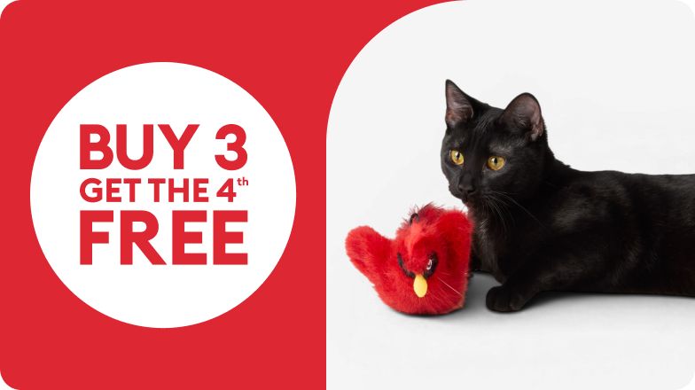 Buy 3, get the 4th FREE shown with black cat & red bird toy