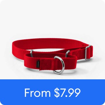 PetSafe Martingale 1" Nylon Dog Collar