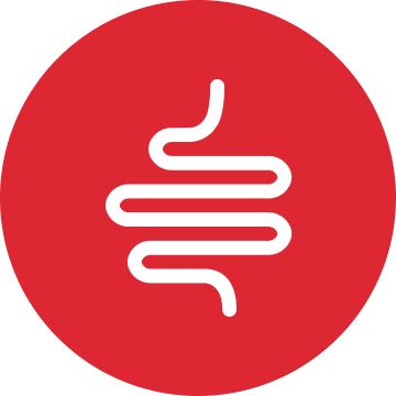 White digestive tract graphic inside a red circle