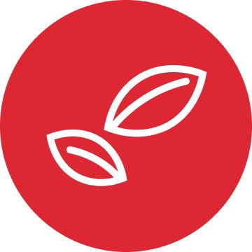 White leaf graphic inside a red circle