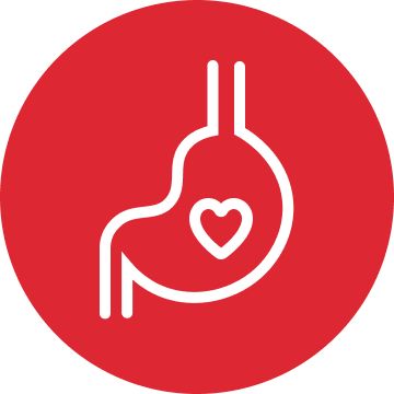 White stomach graphic with a heart symbol inside a red circle