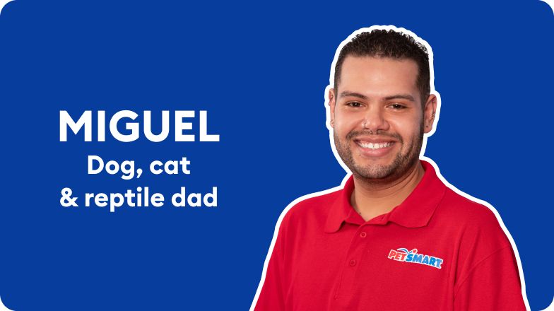 PetSmart Associate Miguel in a profile graphic with a blue background and the text “Miguel” & “Dog, cat & reptile dad”