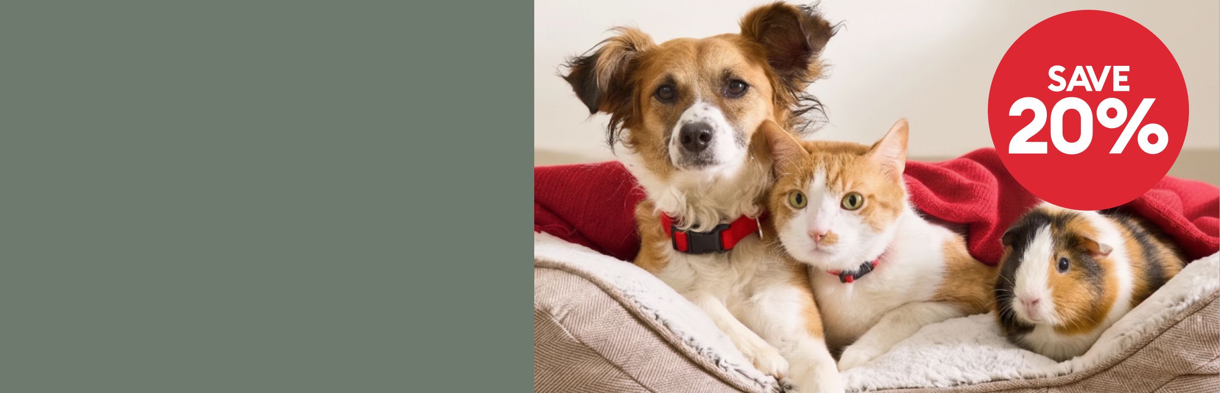 Dog, cat & guinea pig lying together in a pet bed & an 20% OFF badge