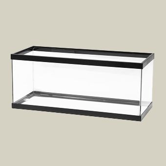 Open Glass Aquarium