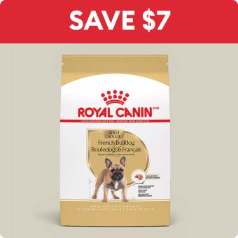 Royal Canin Breed Health Nutrition French Bulldog Adult Dog Dry Food