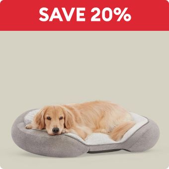 Top Paw Orthopedic Grey Lounger Dog Bed