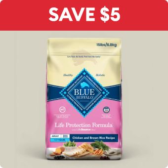 Blue Buffalo Life Protection Formula Small Breed Adult Dry Dog Food