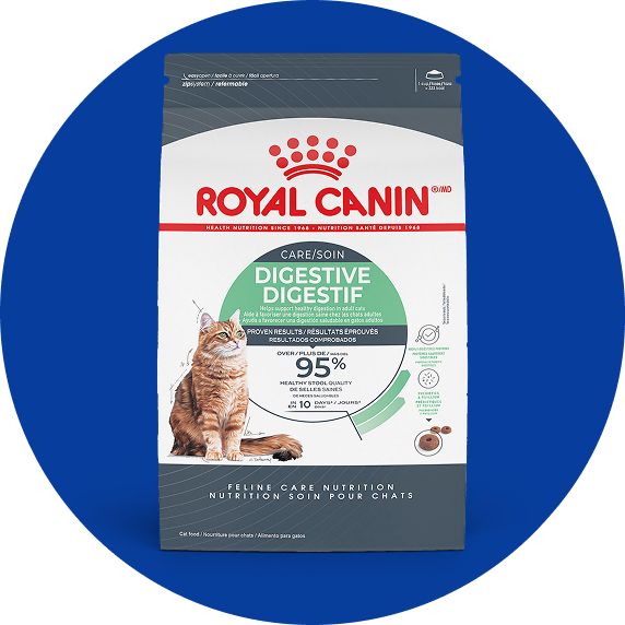 Royal Canin Feline Adult Dry Cat Food Care Nutrition