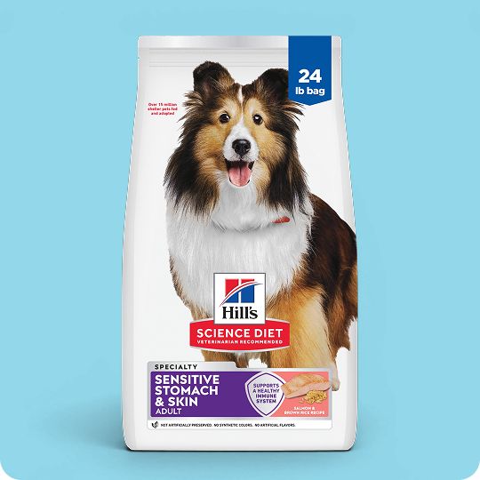 Hill's Science Diet Sensitive Stomach & Skin Adult Dry Dog Food